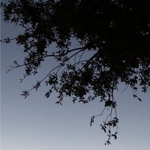 Meet your Posher, Servando